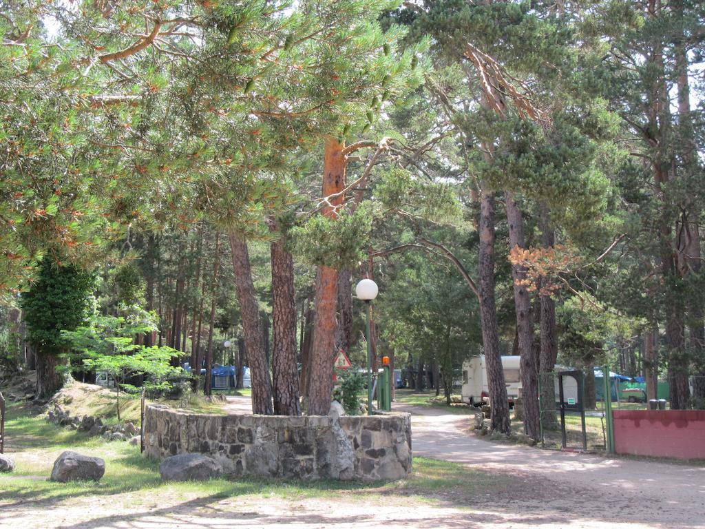 Camping Cobijo Винуеса Екстериор снимка